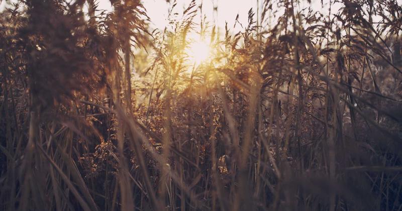 Implantación plan APPCC en planta de producción alimentaria Valencia